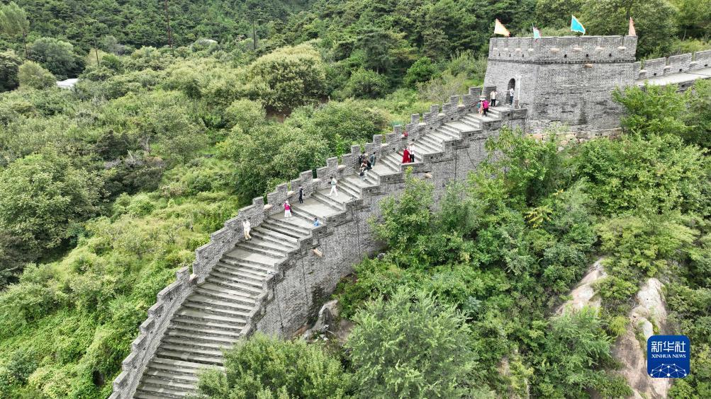 单机水果机无限币下载